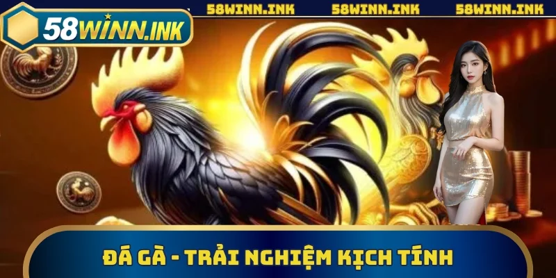 Công nghệ livestream hiện đại